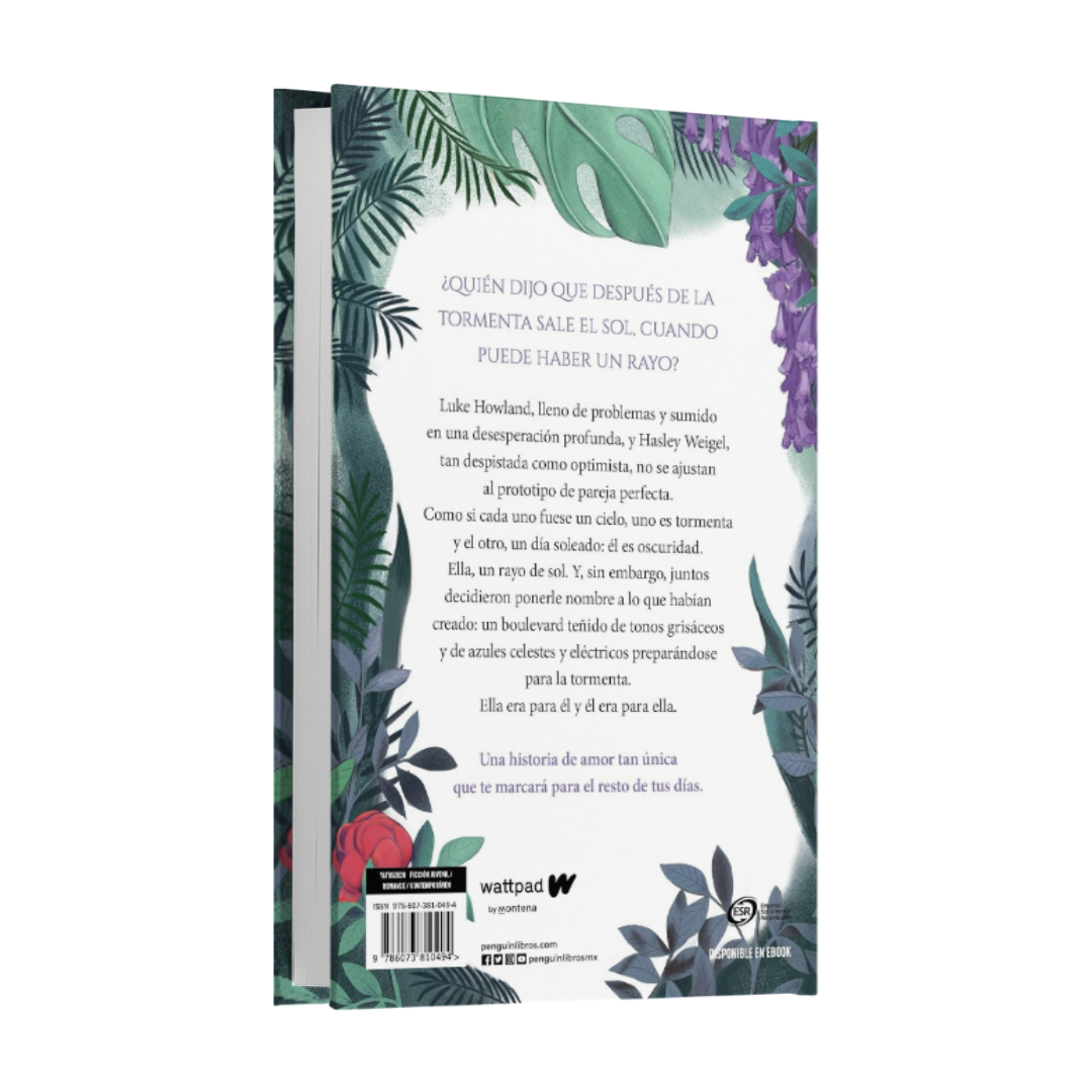 Boulevard. La versión de Flor - Flor M. Salvador