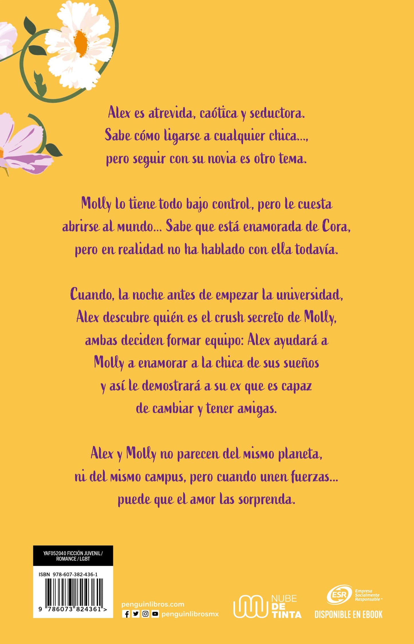 Chica Conoce Chica - Rachael Lippincott Y Alyson Derrick