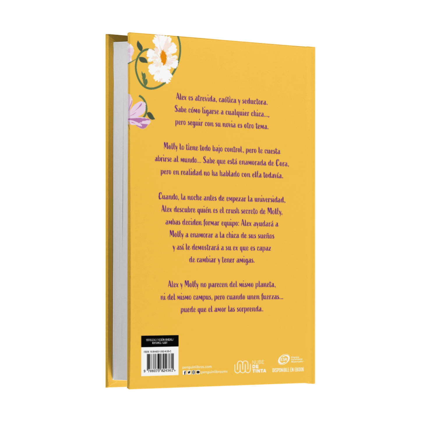 Chica Conoce Chica - Rachael Lippincott Y Alyson Derrick