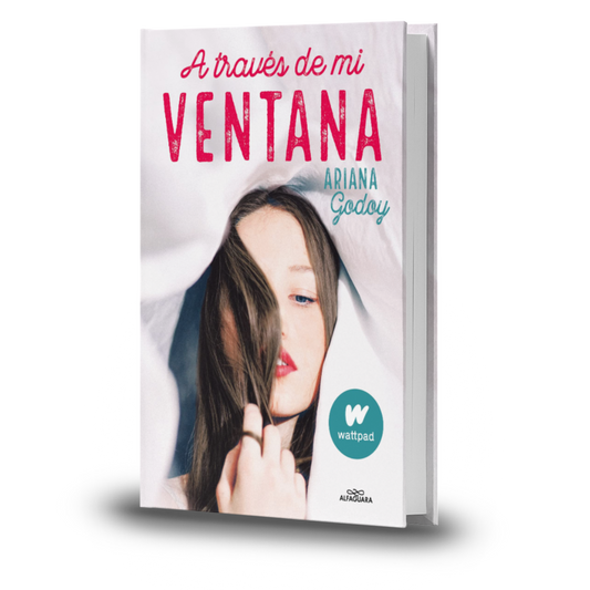 A Través De Mi Ventana - Ariana Godoy