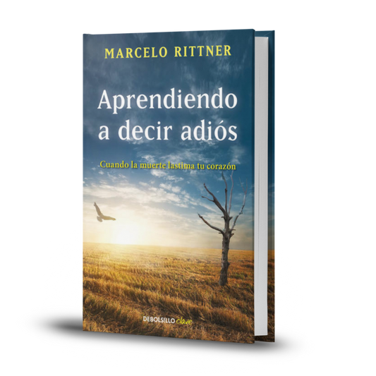 Aprendiendo A Decir Adiós - Marcelo Rittner
