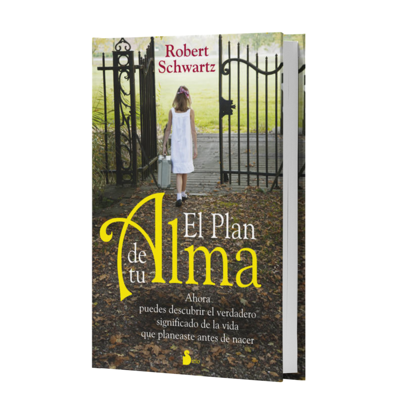 El Plan De Tu Alma - Robert Schwartz