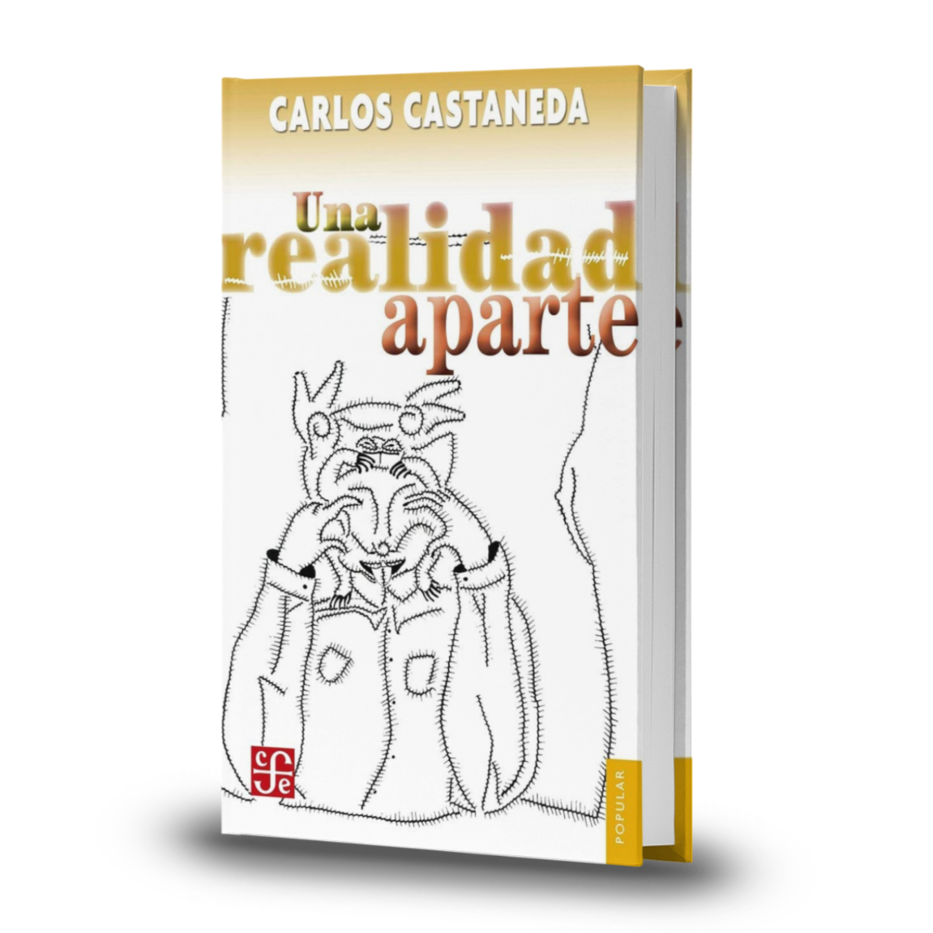 Una Realidad Aparte - Carlos Castaneda