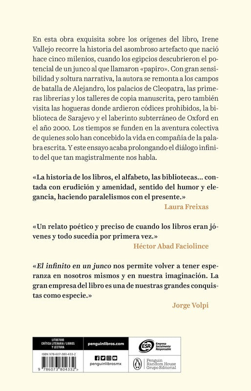 El Infinito En Un Junco - Irene Vallejo