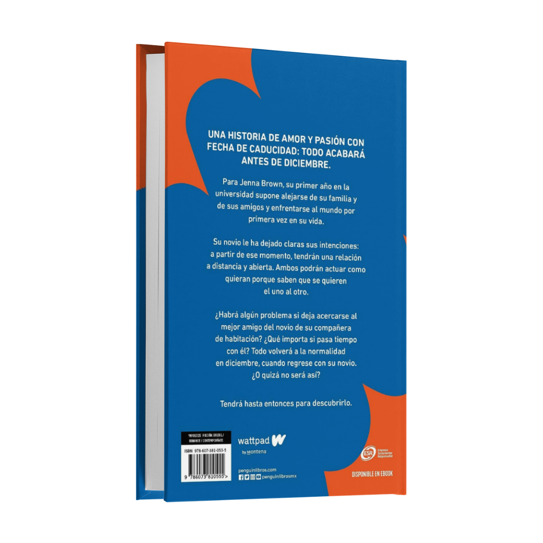 Antes de diciembre - Joana Marcús