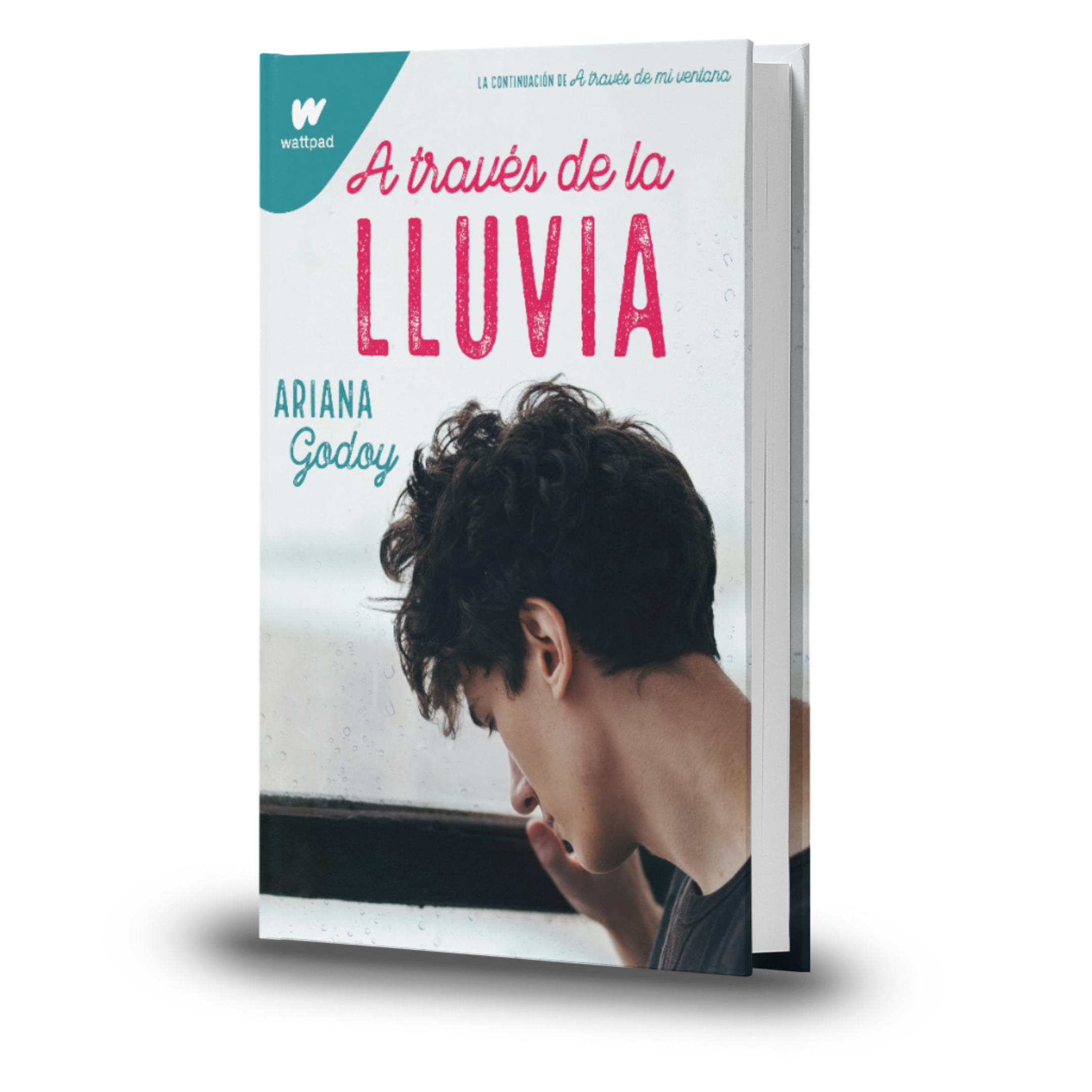 A Través De La Lluvia - Ariana Godoy