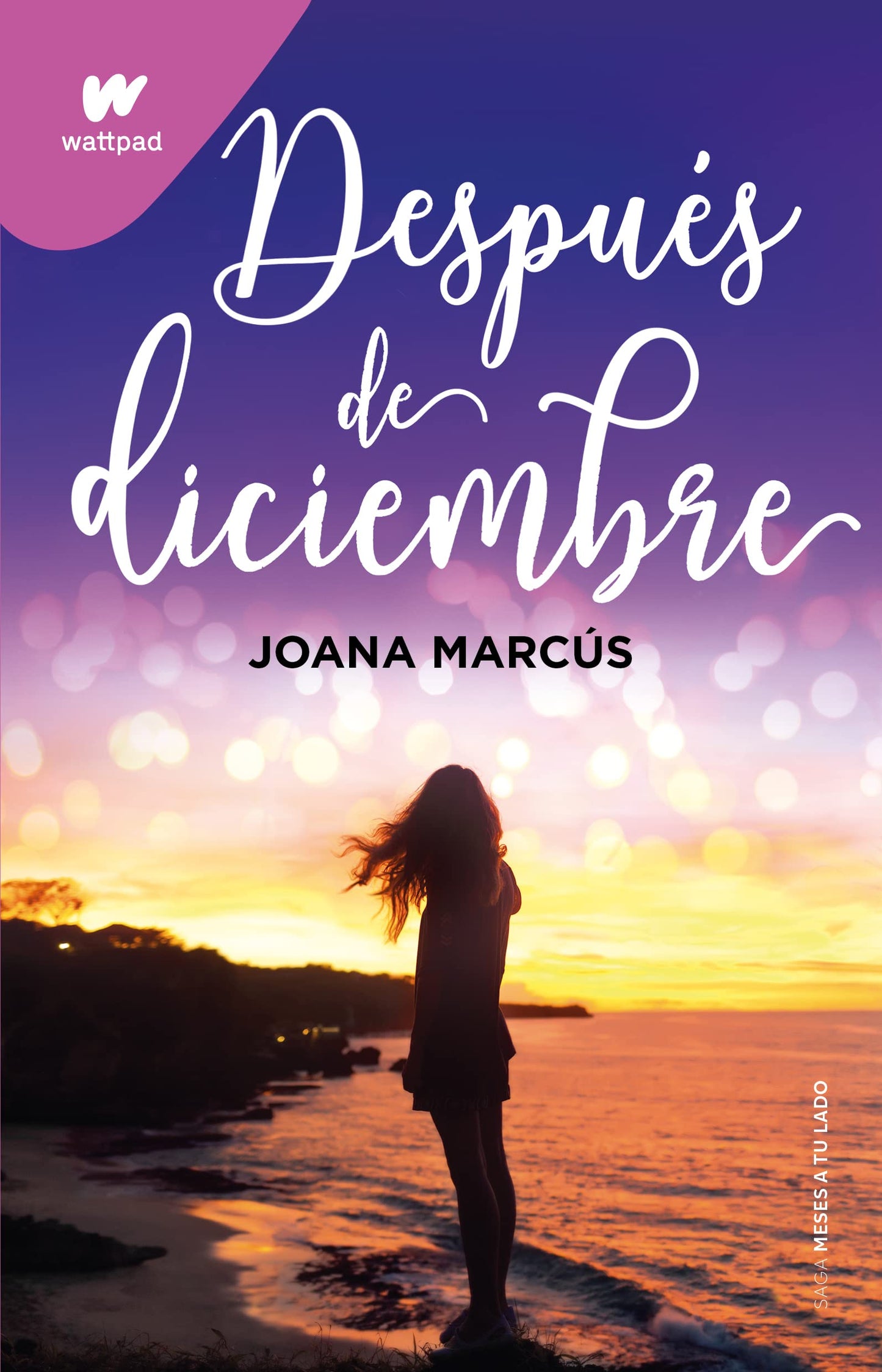 Después De Diciembre - Joana Marcús