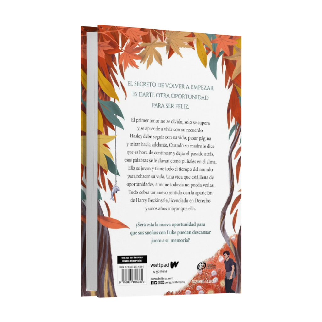 Boulevard. Después De Él - Flor M. Salvador