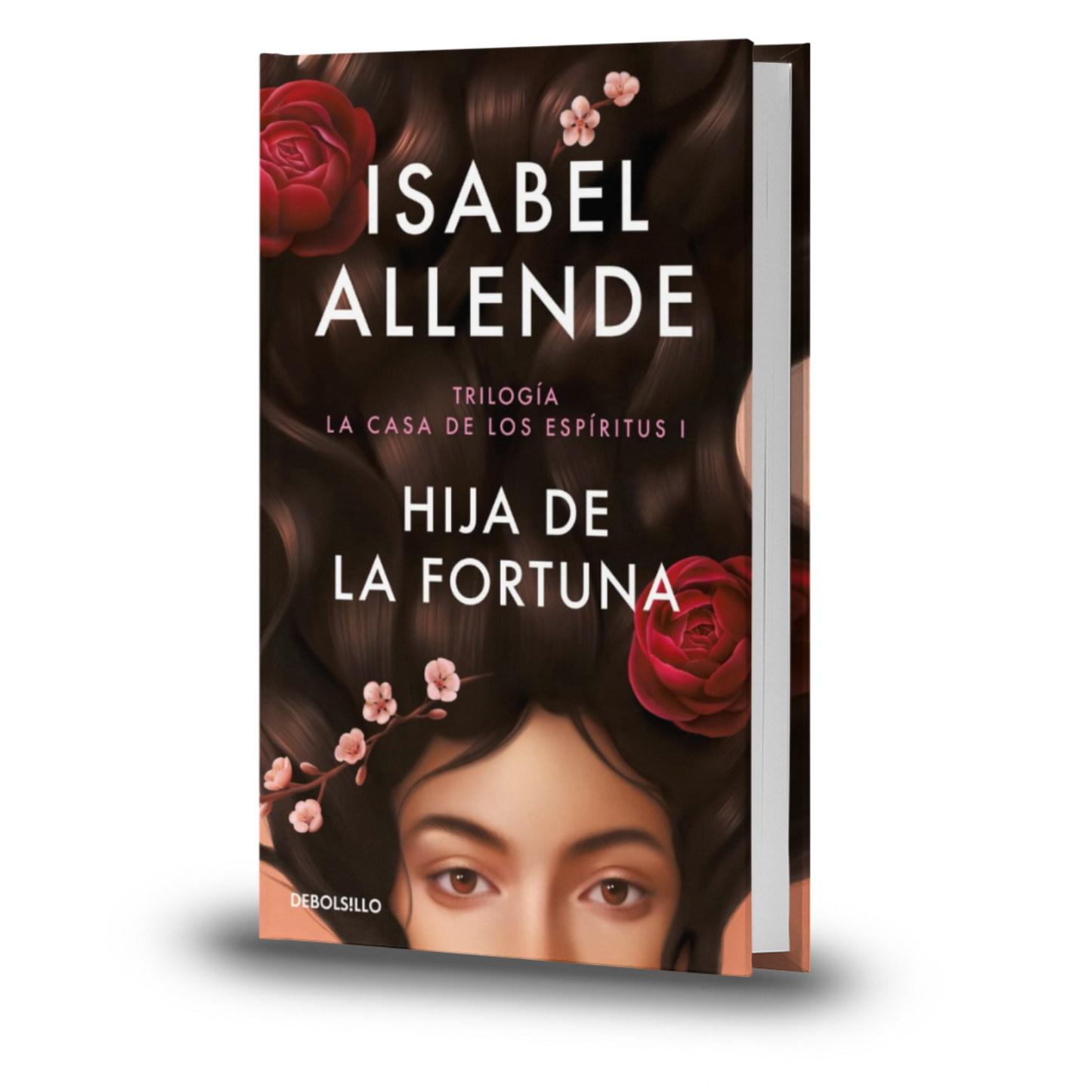 Estuche Trilogía La Casa De Los Espíritus - Isabel Allende