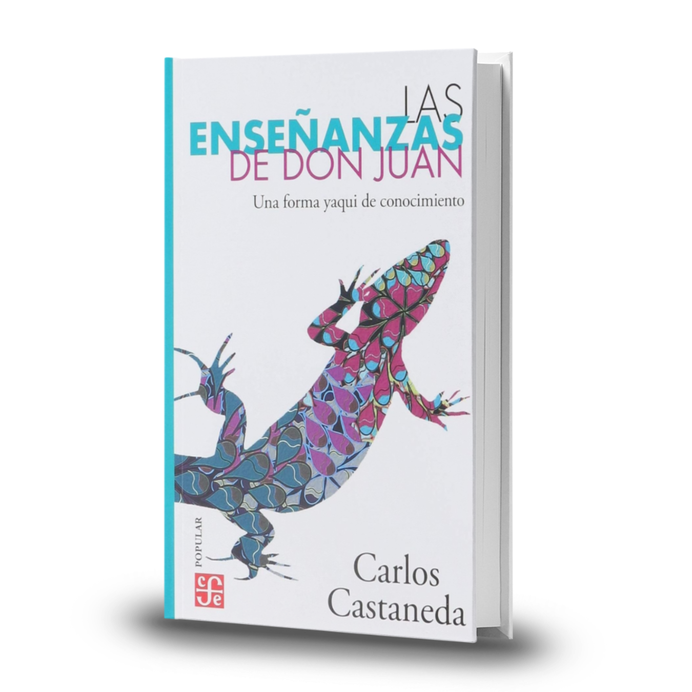Las Enseñanzas De Don Juan - Carlos Castaneda