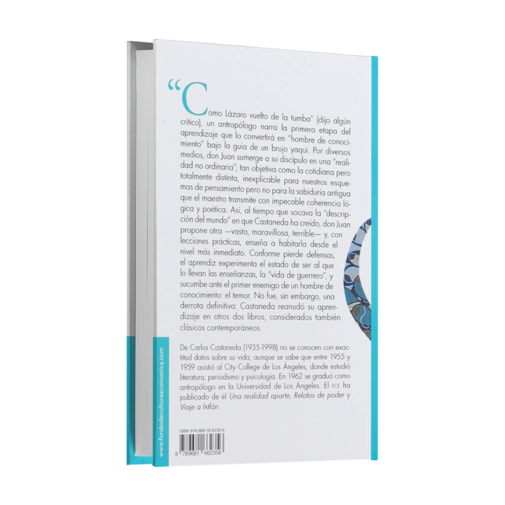 Las Enseñanzas De Don Juan - Carlos Castaneda