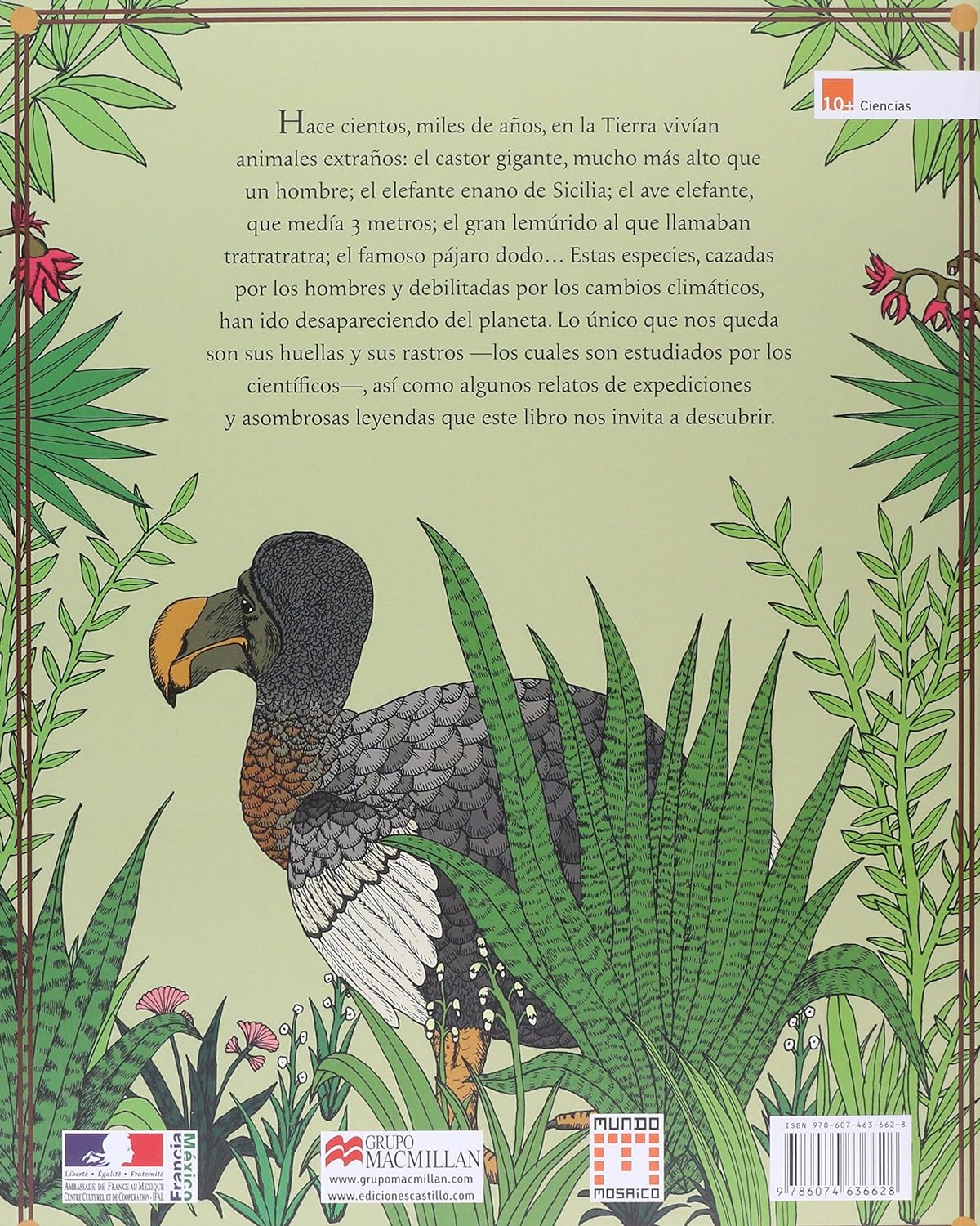 Pequeñas Y Grandes Historias De Los Animales Extintos - Helene Rajcak / Damien Laverdun