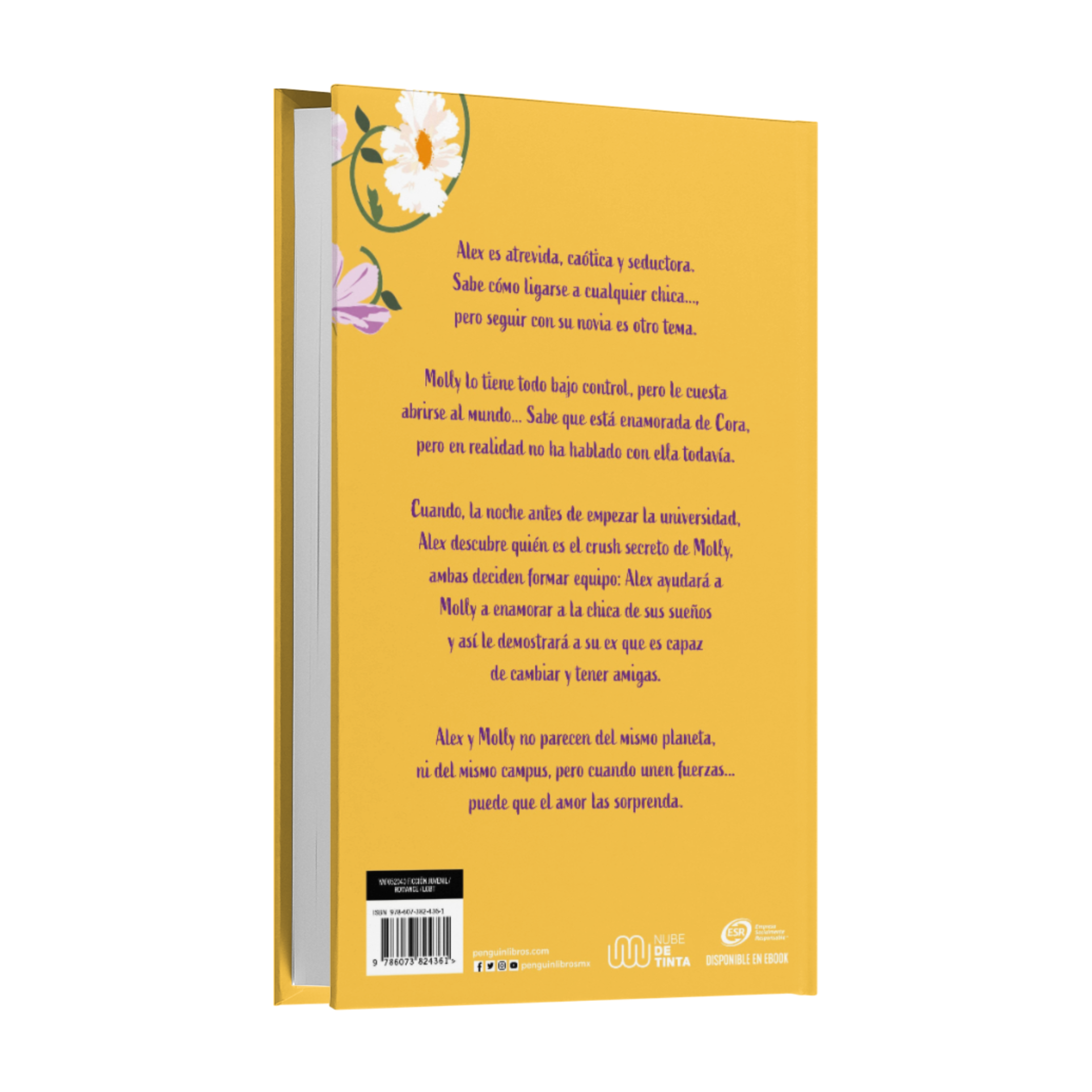 Chica Conoce Chica - Rachael Lippincott Y Alyson Derrick