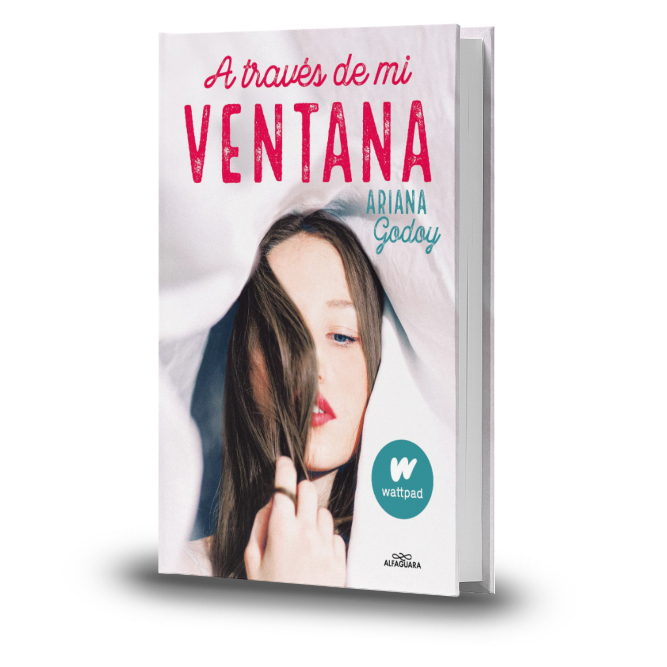 A Través De Mi Ventana - Ariana Godoy