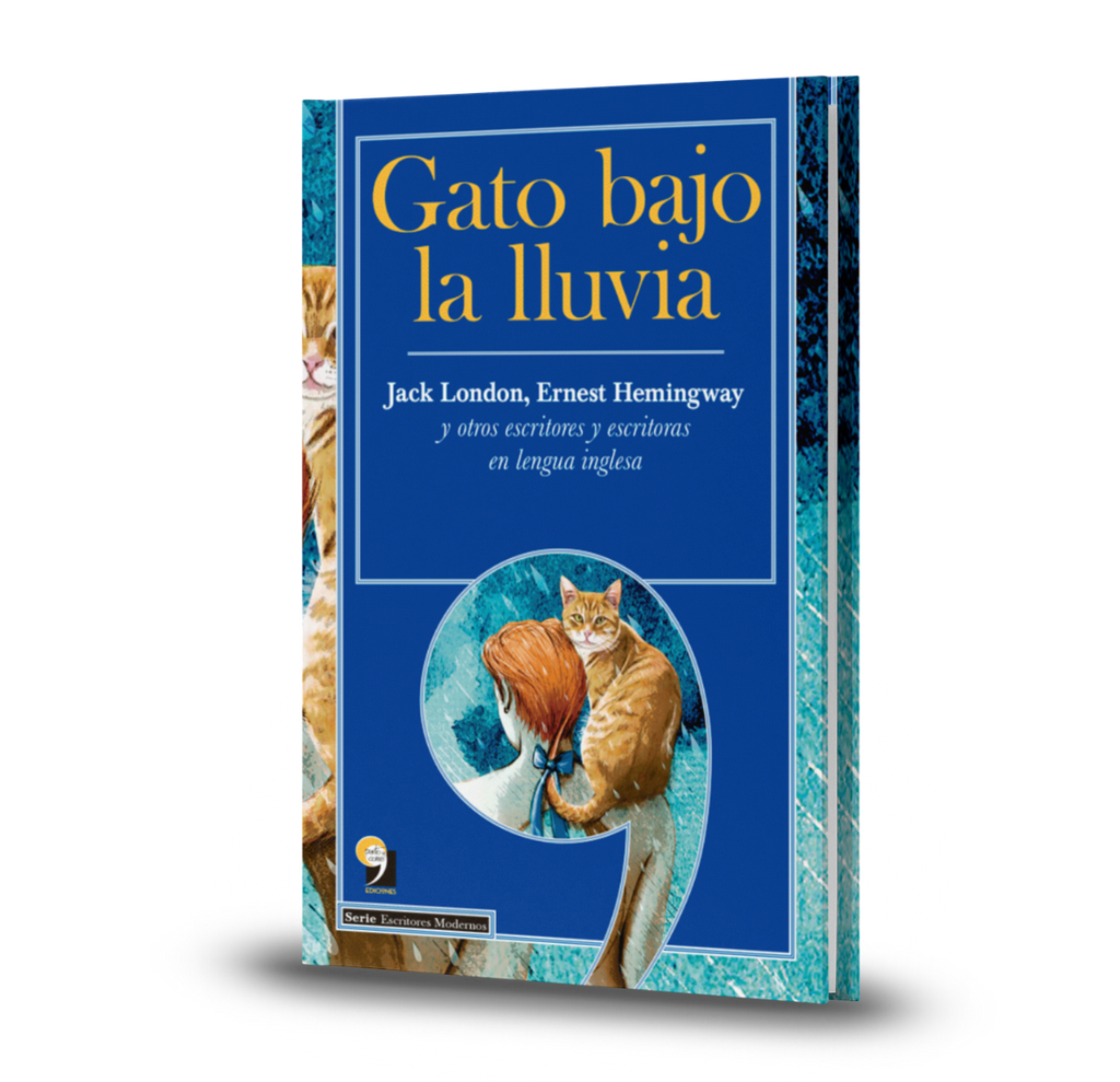 Gato Bajo La Lluvia - Varios