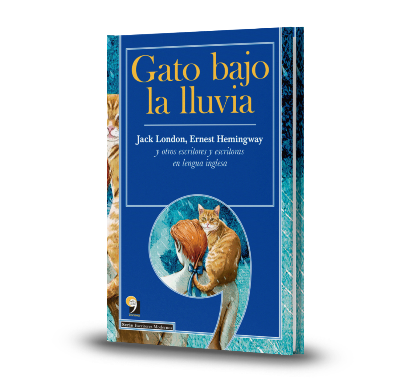 Gato Bajo La Lluvia - Varios