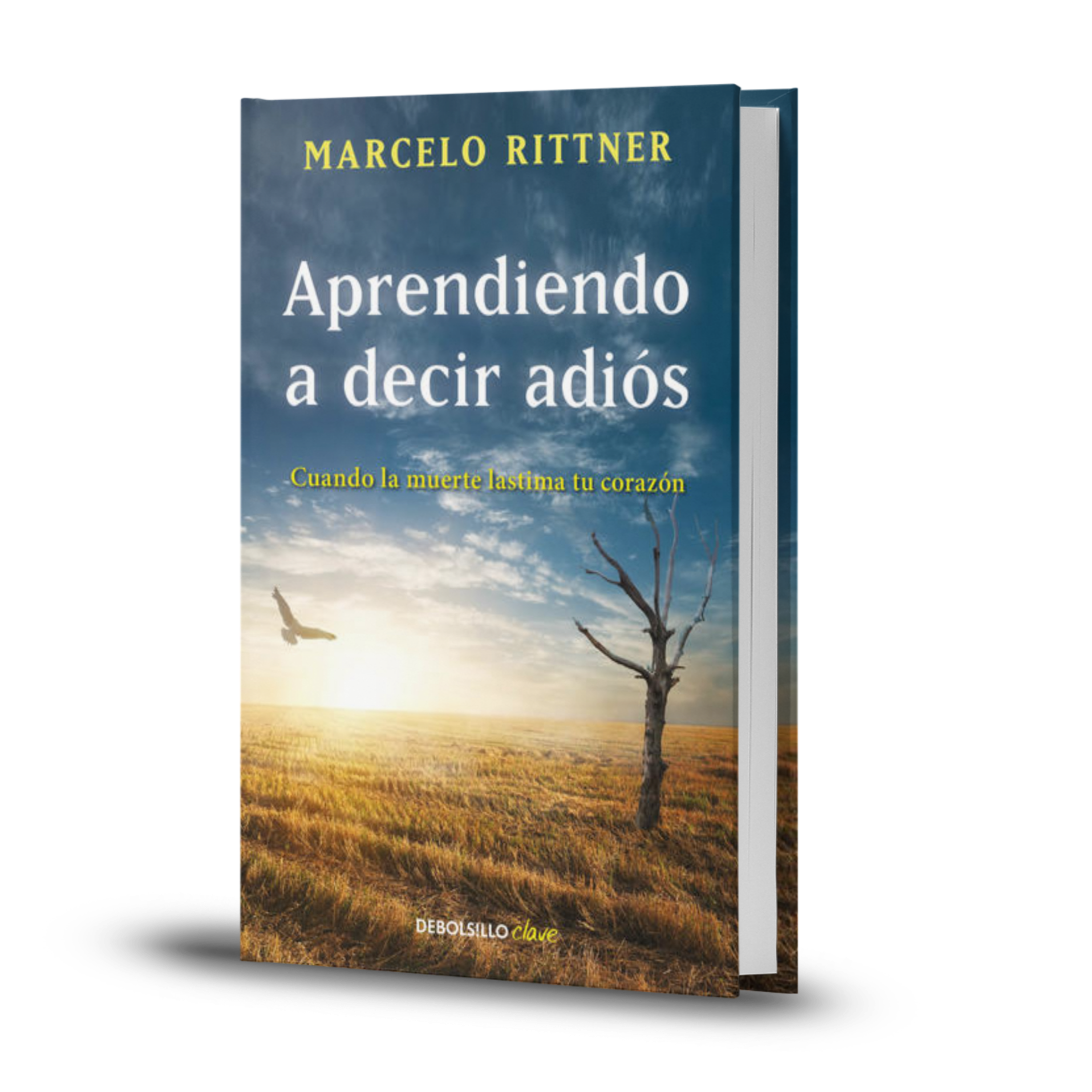 Aprendiendo A Decir Adiós - Marcelo Rittner