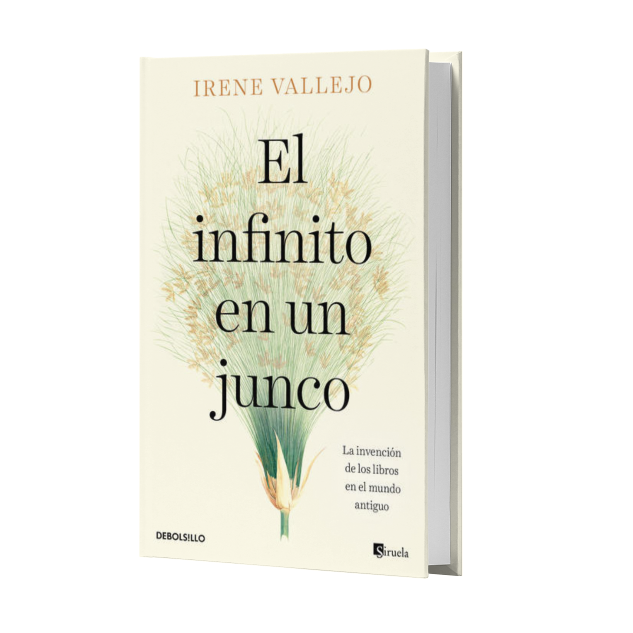 El Infinito En Un Junco - Irene Vallejo