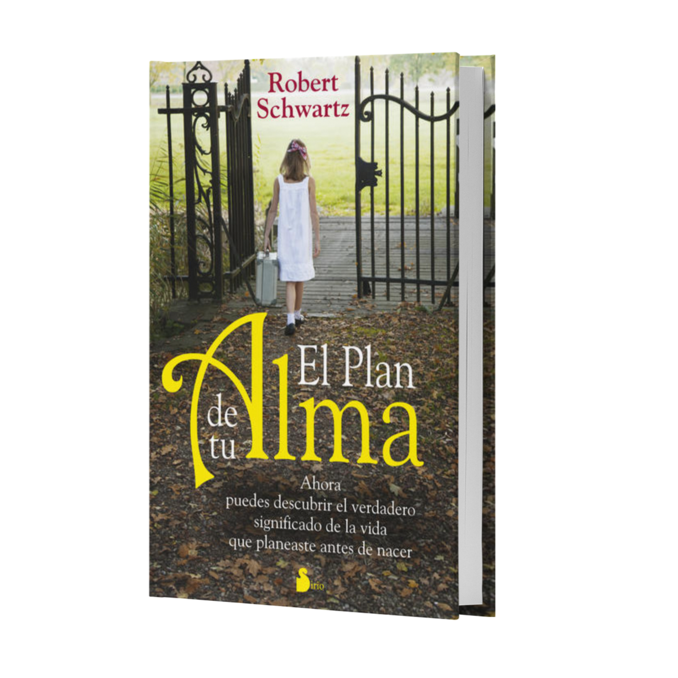 El Plan De Tu Alma - Robert Schwartz