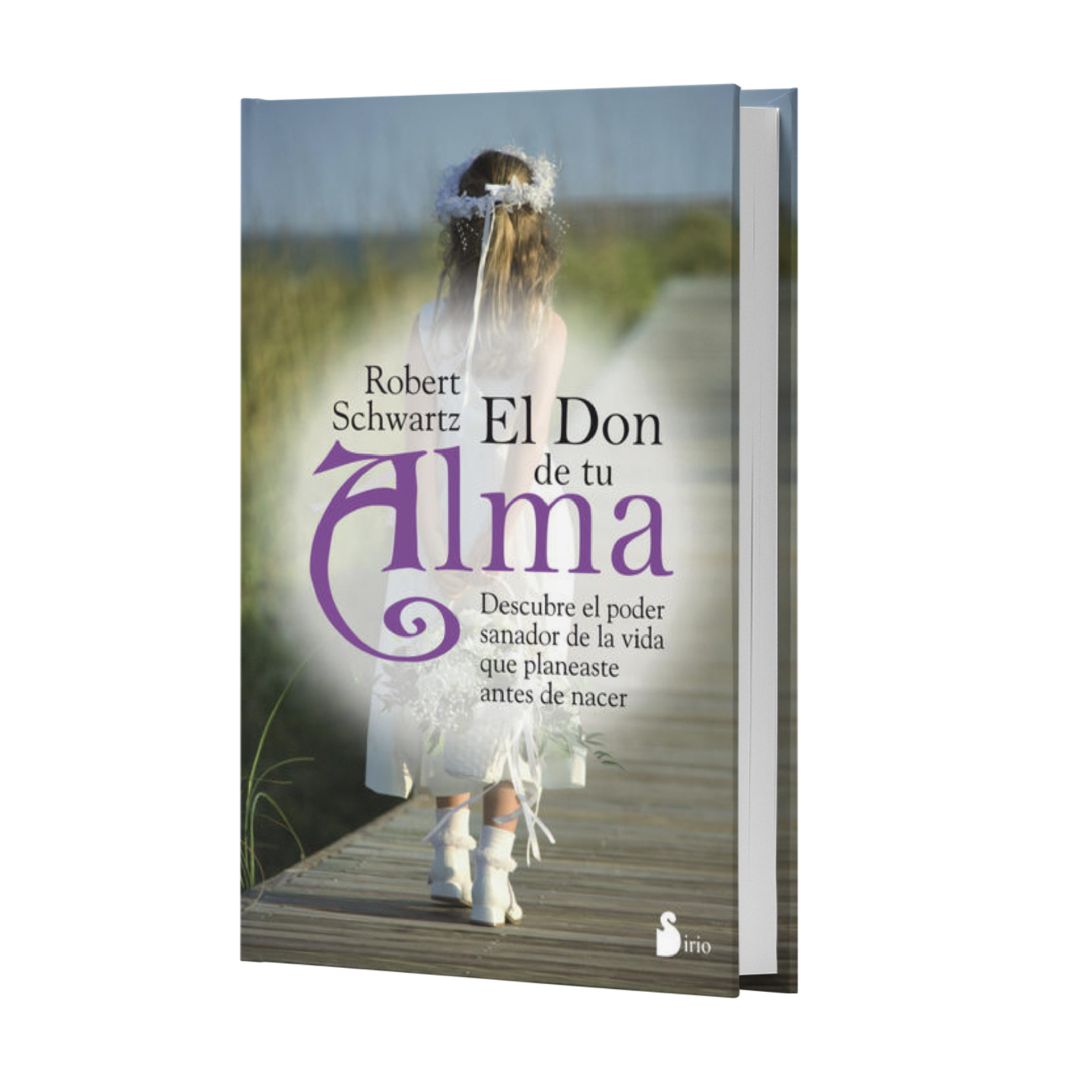 El Don De Tu Alma - Robert Schwartz