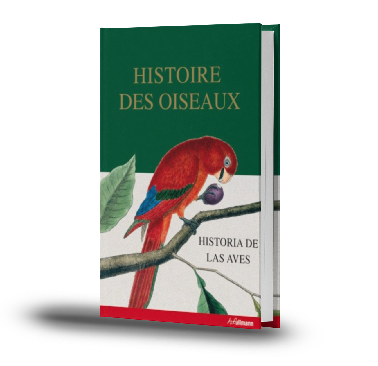 Historia De Las Aves / Histoire Des Oiseaux - Francois Nicolas Martinet