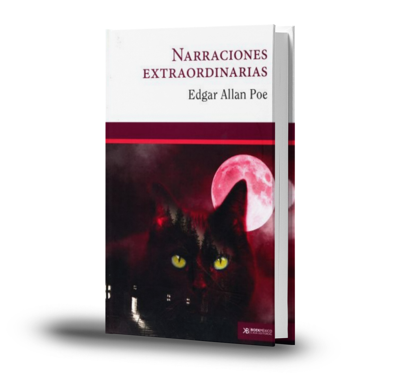 Narraciones Extraordinarias - Edgar Allan Poe
