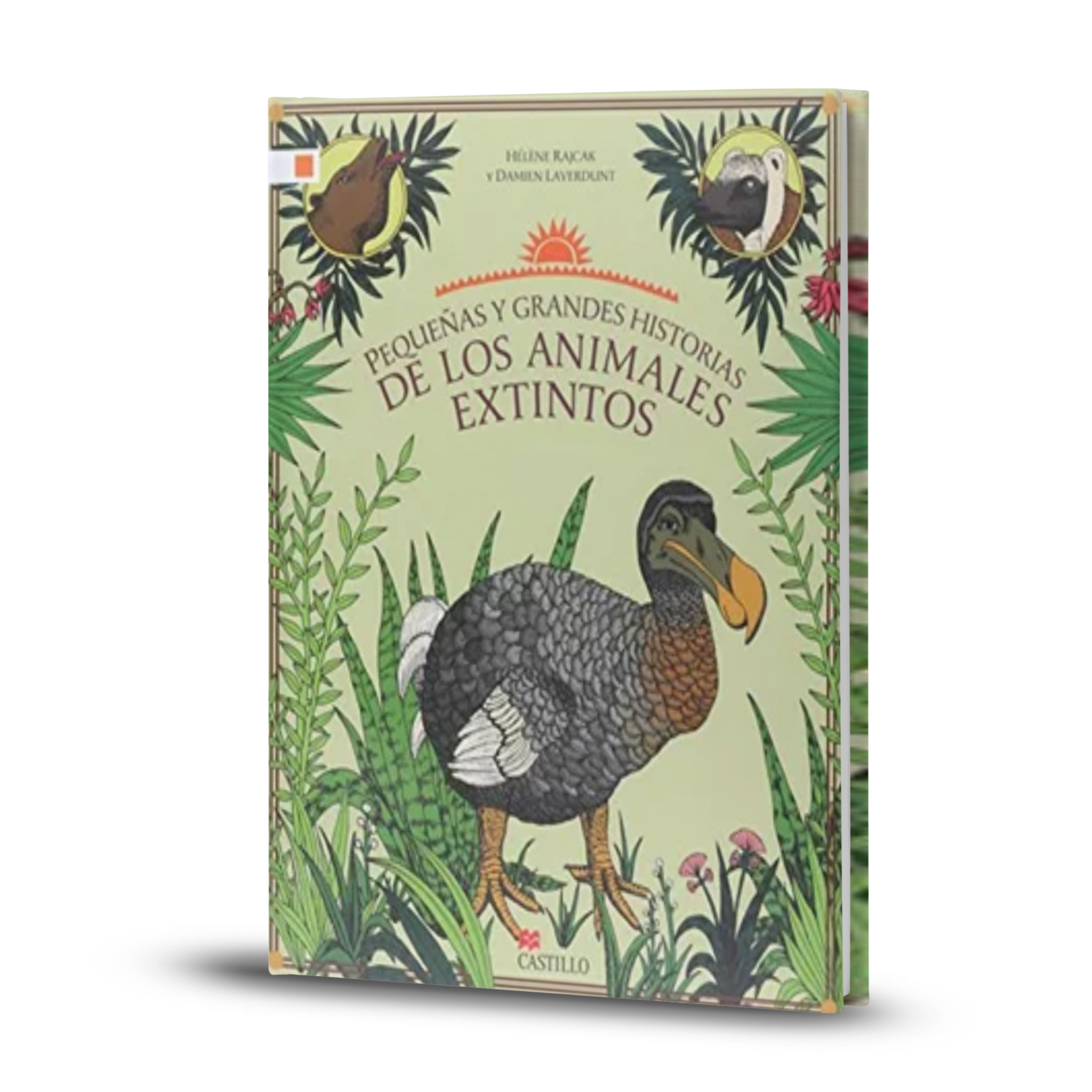 Pequeñas Y Grandes Historias De Los Animales Extintos - Helene Rajcak / Damien Laverdun